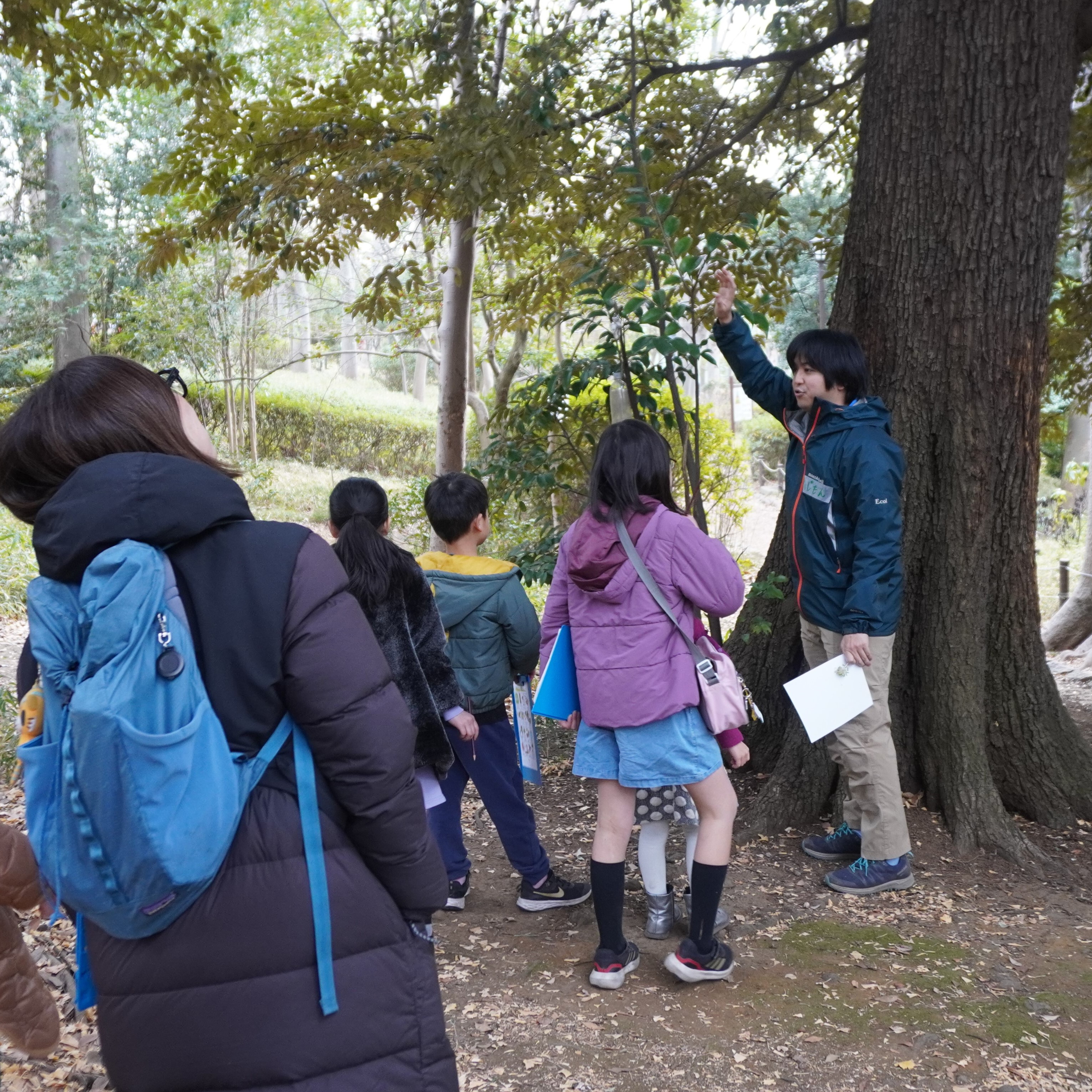 生物多様性みなとフォーラム観察会「子ども樹木博士」にサポート参加しました