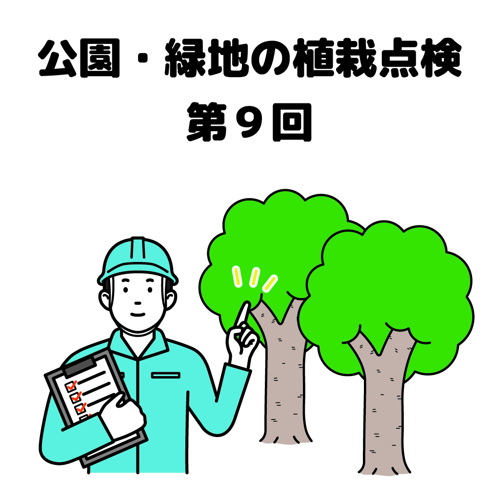 街の樹木NewsLetter Vol.21　7月号　公園・緑地の植栽点検シリーズ第９回－樹⽊の安全点検−倒⽊や落枝の危険を発⾒しよう！ その６−実践