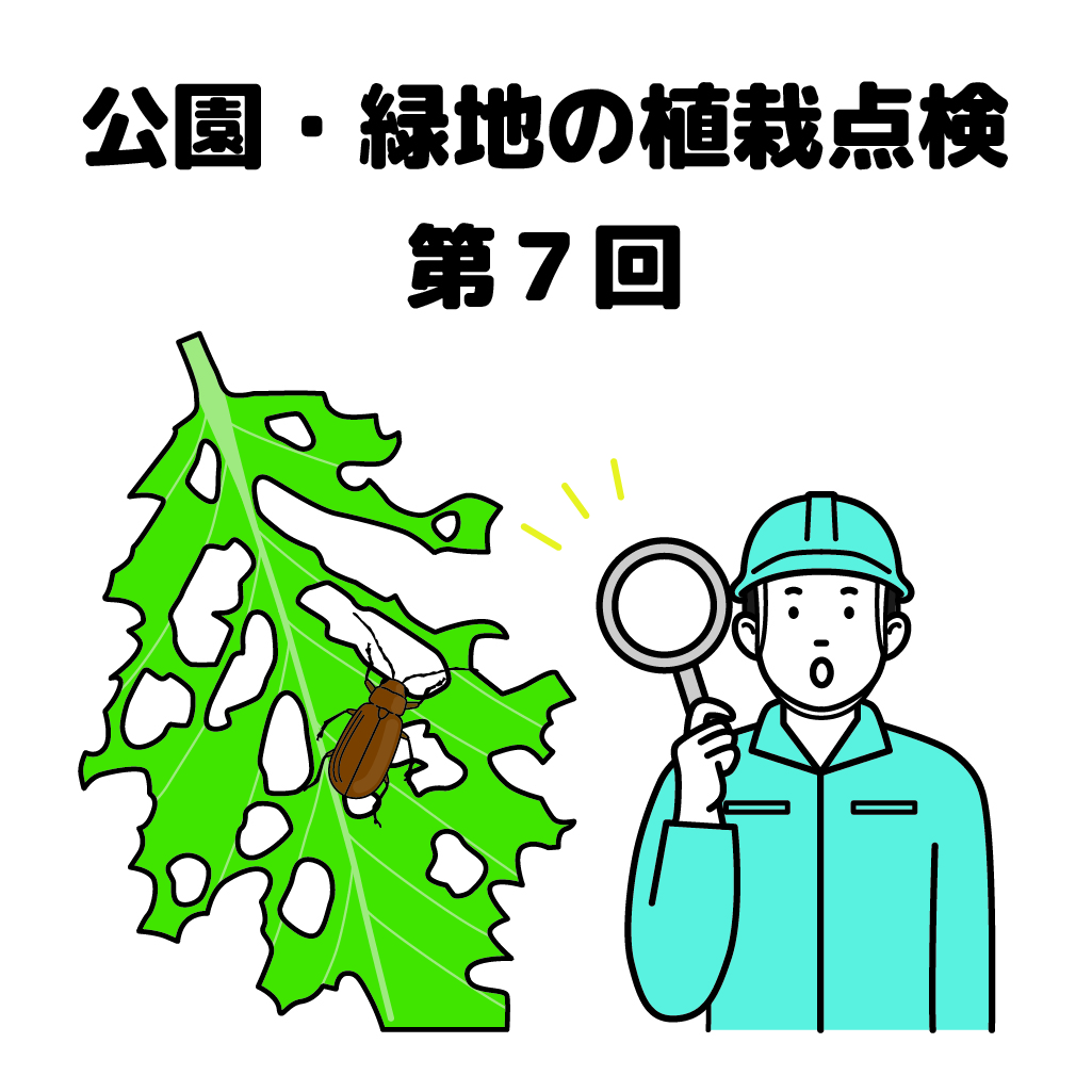 街の樹木NewsLetter Vol.19　5月号　公園・緑地の植栽点検シリーズ第7回－樹⽊の安全点検−倒⽊や落枝の危険を発⾒しよう！ その４−虫害